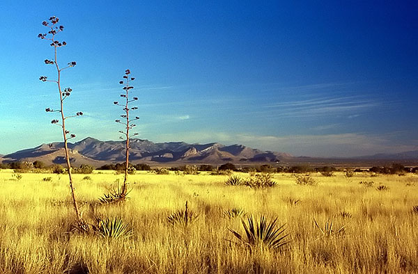 03 Christian Deichert